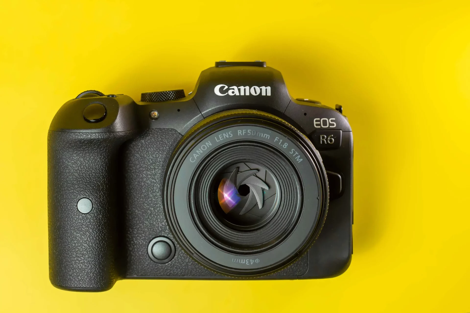 What are the Best Mirrorless Cameras for Beginners
